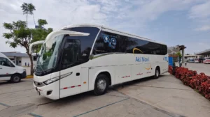 bus Akimovil